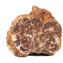 Afbeelding in Gallery-weergave laden, Verse Witte bianchetti truffel