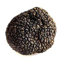 Afbeelding in Gallery-weergave laden, Verse Zwarte Herfsttruffel